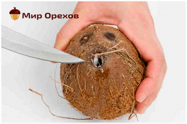 Как разрезать кокос в домашних условиях фото пошагово