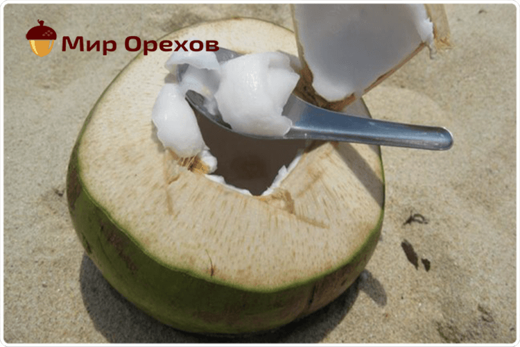 открытый кокос