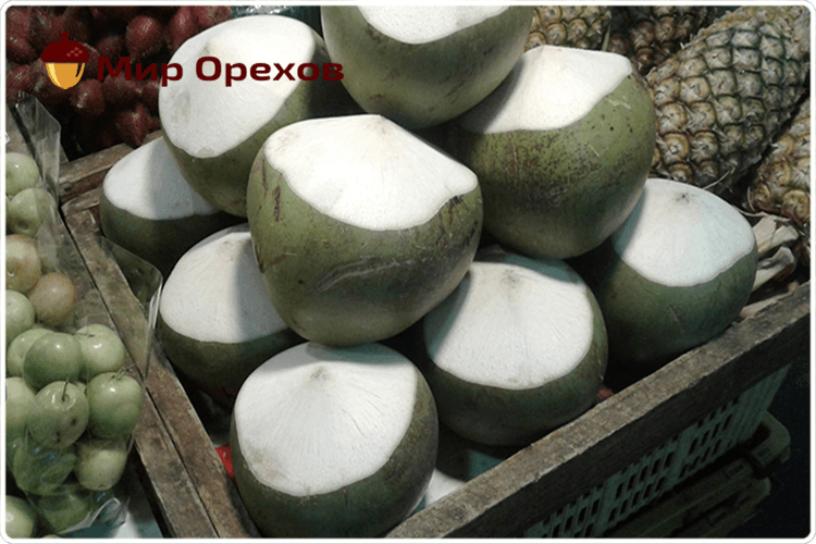 зелёные кокосы