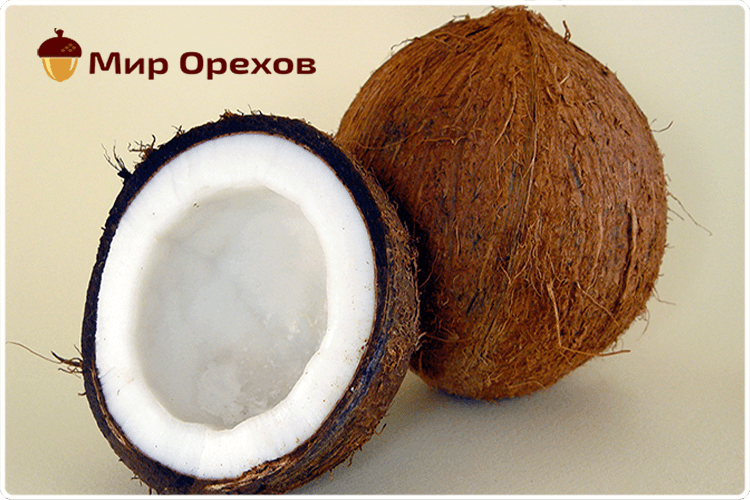 Кокос это ягода или орех. Семена кокоса. Плод кокосовой пальмы. Мякоть кокоса. Строение кокосового ореха.