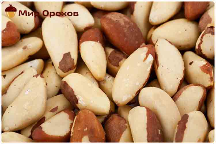 бразильский орех плоды